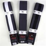 Fuji IBJJF Belts for Kids 
